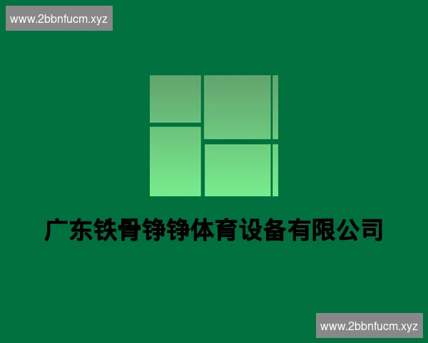 广东铁骨铮铮体育设备有限公司