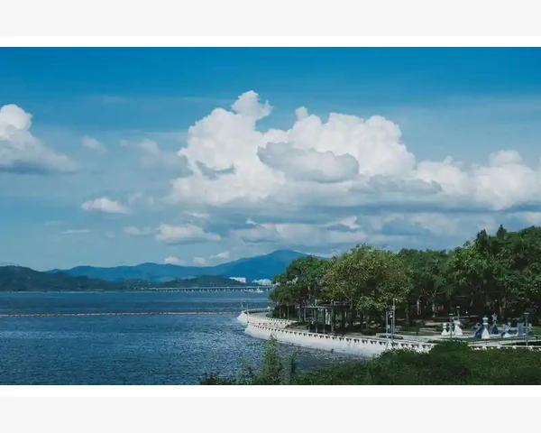 B2B订货平台助力企业提升供应链效率